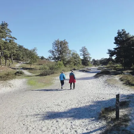 Wooden With Wifi Near Brunssummerheide *