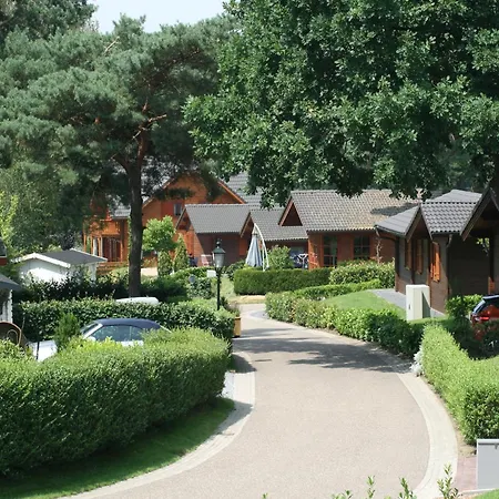 Wooden With Wifi Near Brunssummerheide *