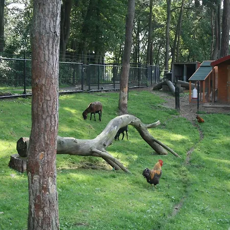Wooden With Wifi Near Brunssummerheide Chalet *